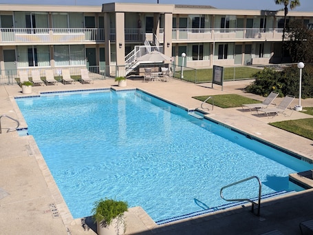 Una piscina al aire libre, sillones reclinables de piscina