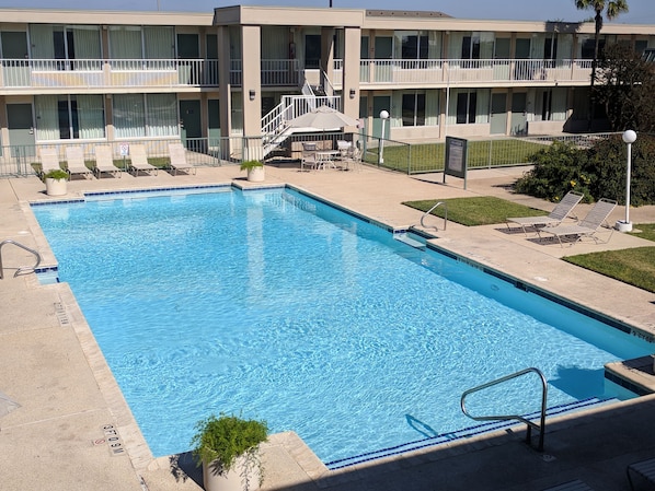 Outdoor pool, sun loungers