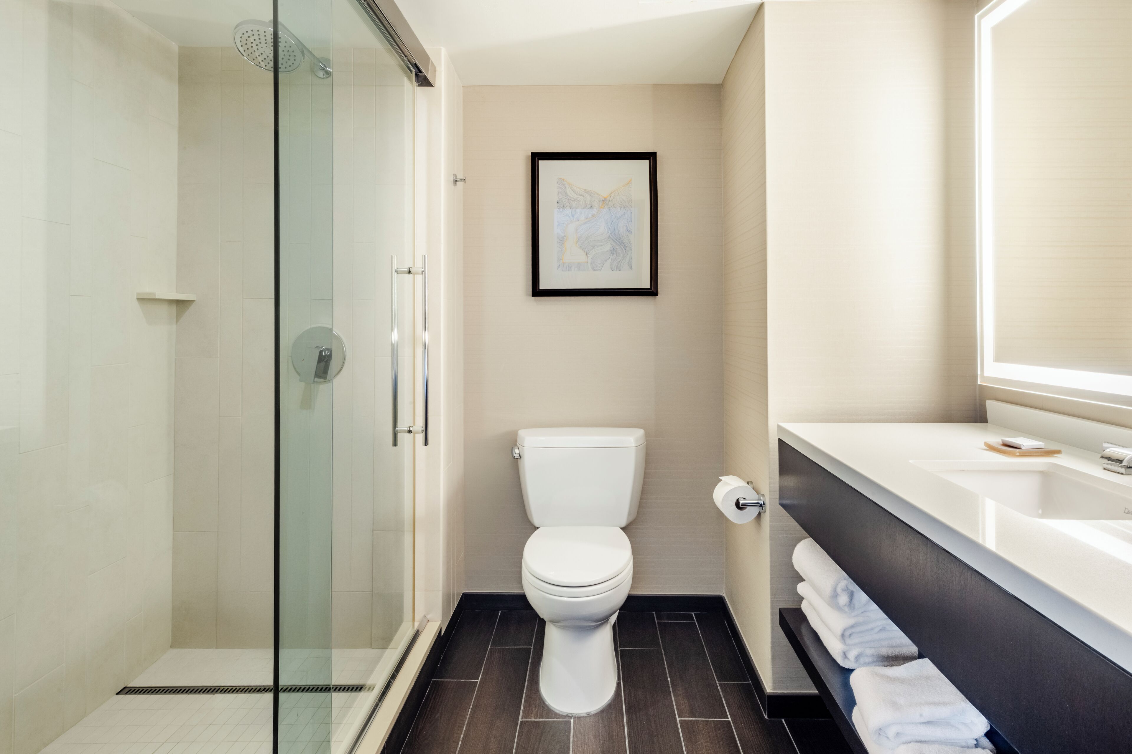 A modern bathroom with a glass-enclosed shower, a toilet, and a vanity with a mirror.