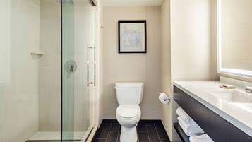 A modern bathroom with a glass-enclosed shower, a toilet, and a vanity with a mirror.