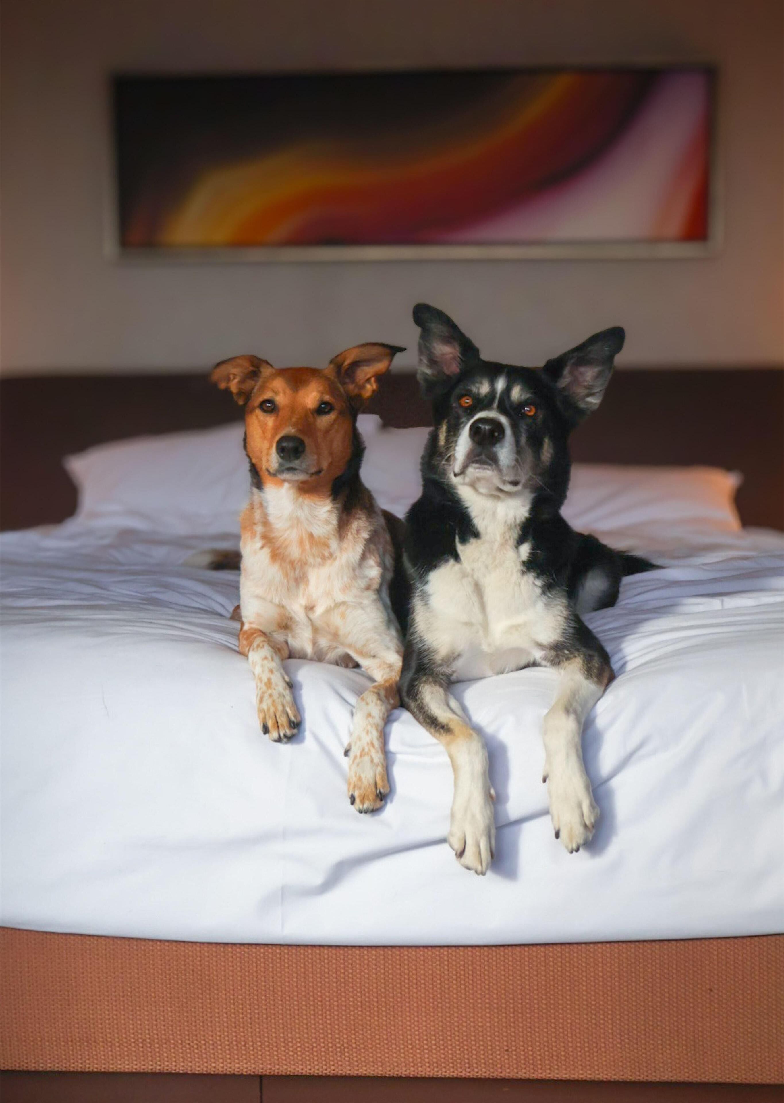 Two dogs sitting on a bed with a painting in the background.
