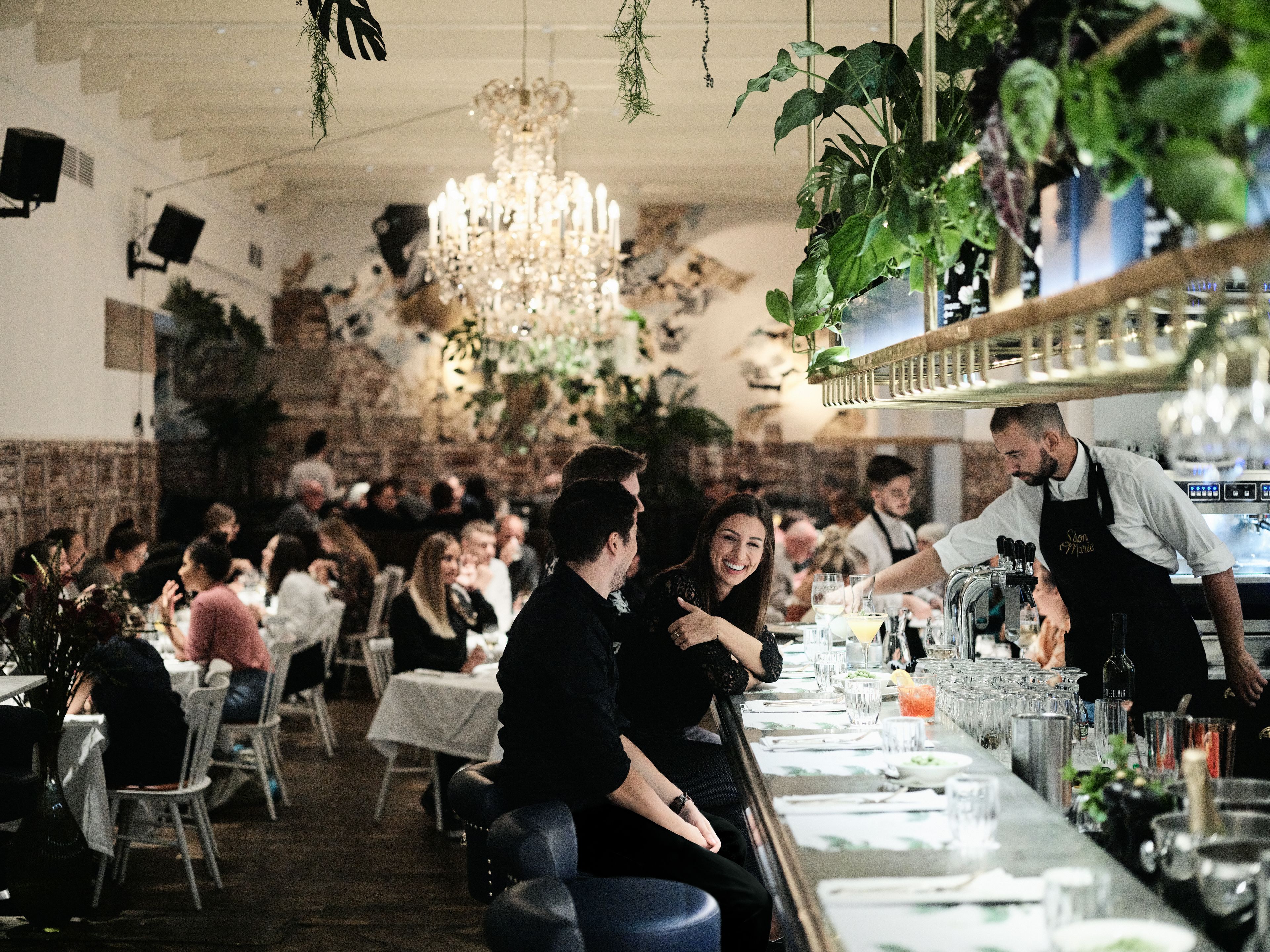 Interior de restaurante com mesas, cadeiras, espaço de bar e plantas penduradas.