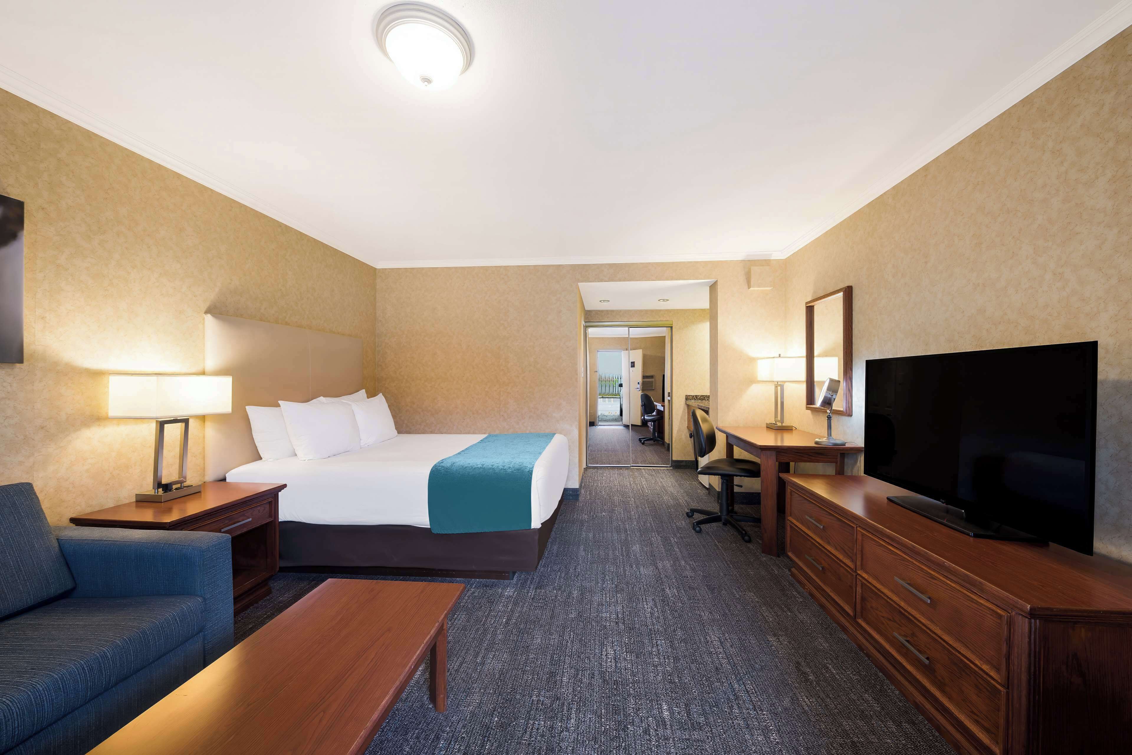 A hotel room with a bed, a desk, a television, a sofa, and a lamp.