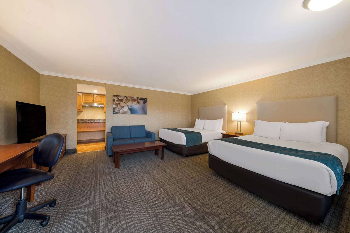 Ropa de cama de alta calidad y cortinas blackout