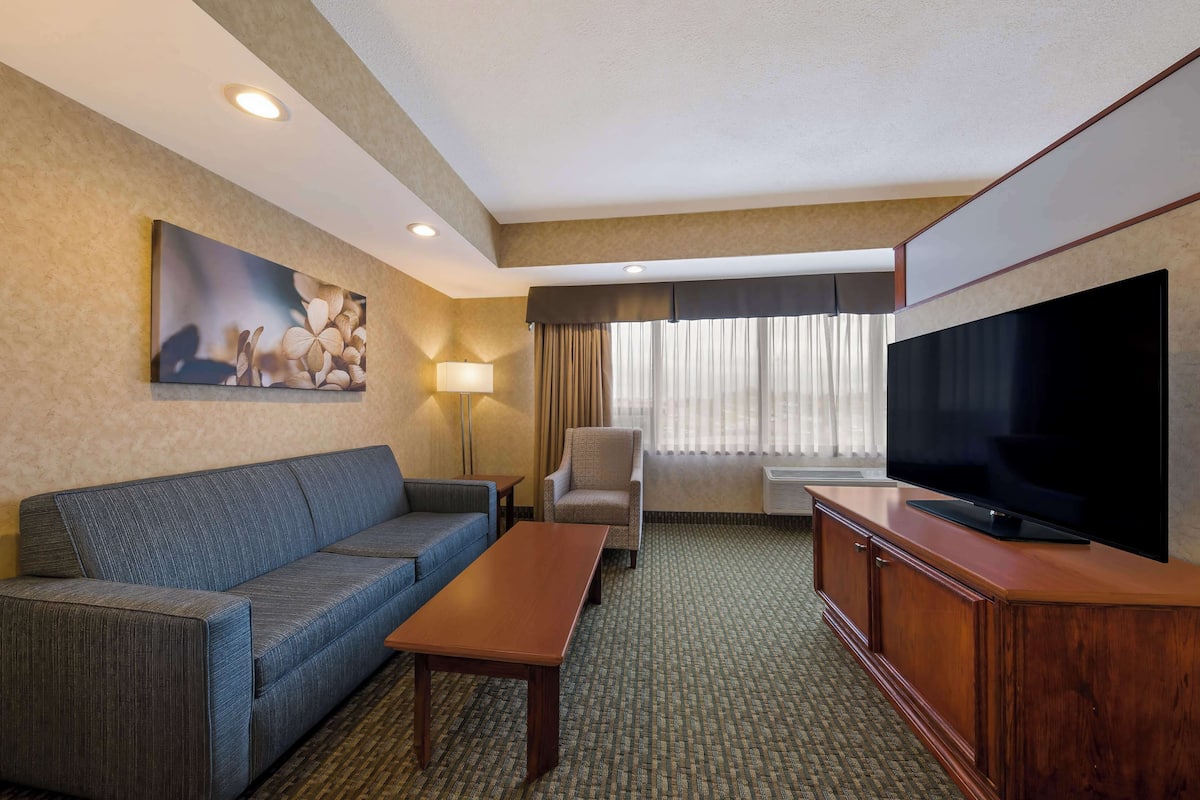 Habitación de hotel con sofá, sillón, televisión y un cuadro en la pared.