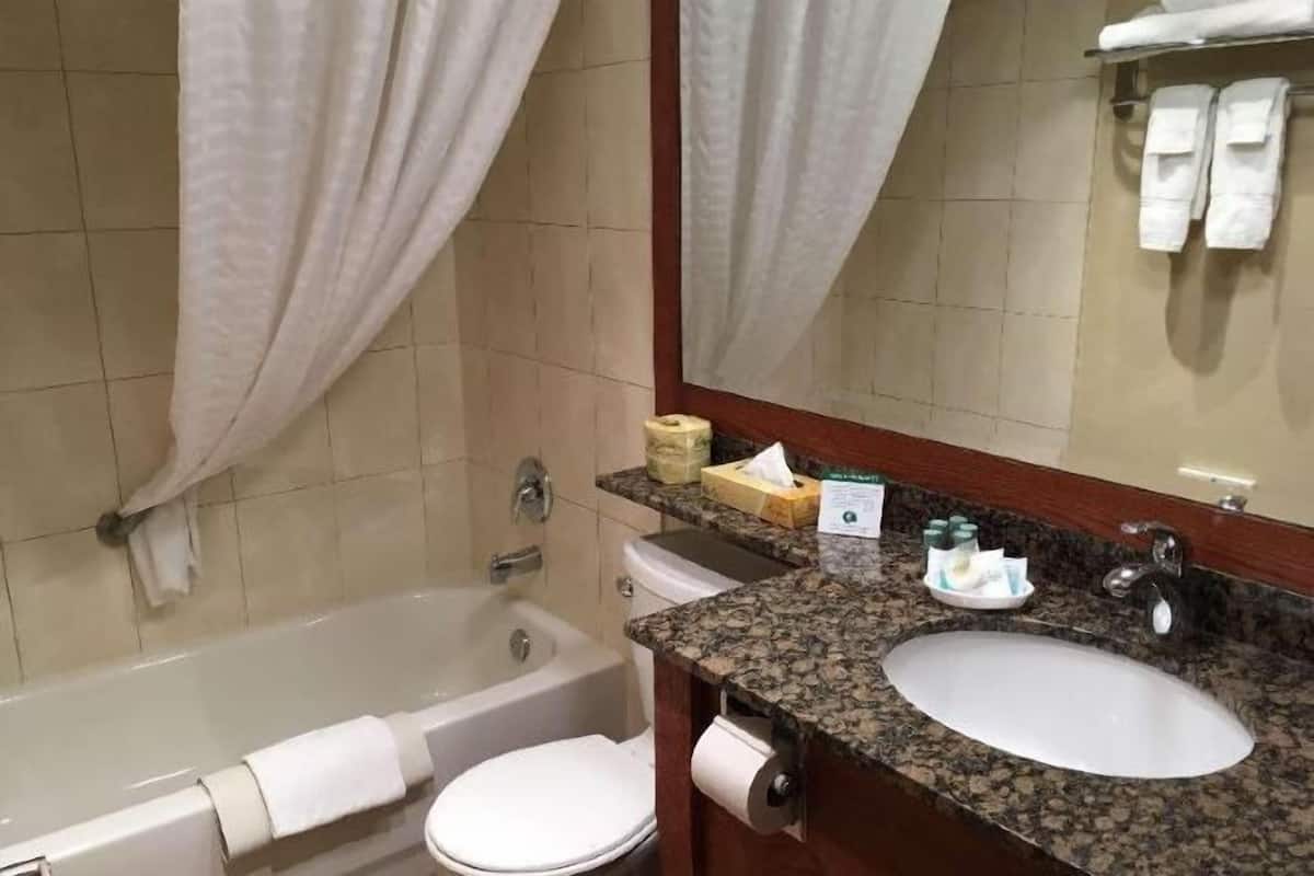 Bathroom | Free toiletries, hair dryer, towels, soap