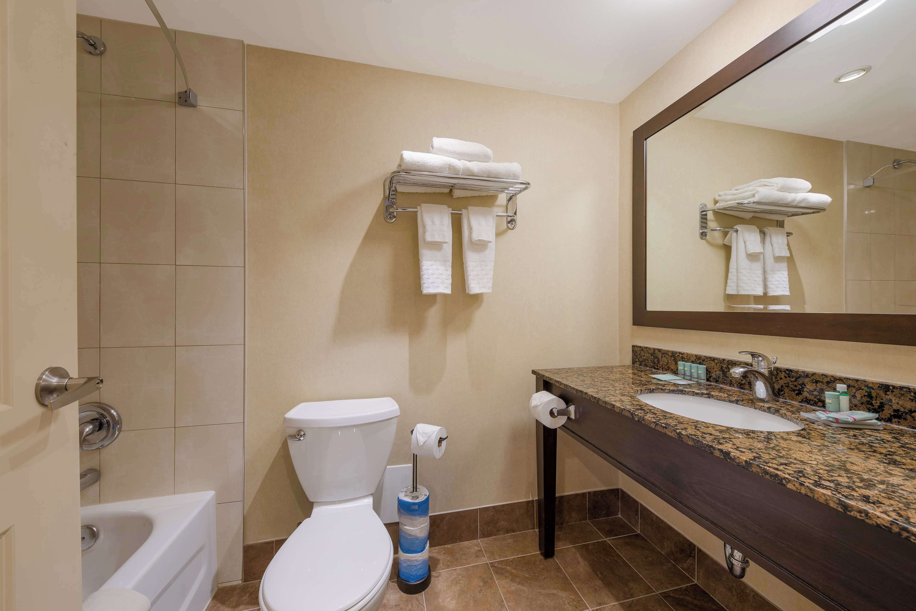 suite, 1 king bed, non smoking, microwave (with sofabed) | bathroom | free toiletries, hair dryer, towels, soap