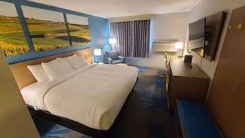 Een bureau, een strijkplank/strijkijzer, gratis babybedden, gratis wifi