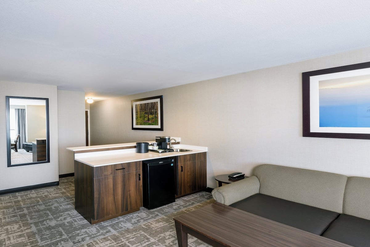 Una habitación de hotel compacta con kitchenette, un sofá y un espejo grande.