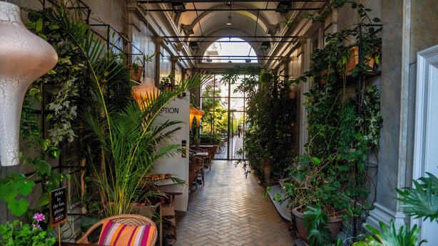Un couloir étroit, bordé de plantes et doté d’un parquet en point de Hongrie, qui mène à un espace intérieur lumineux.