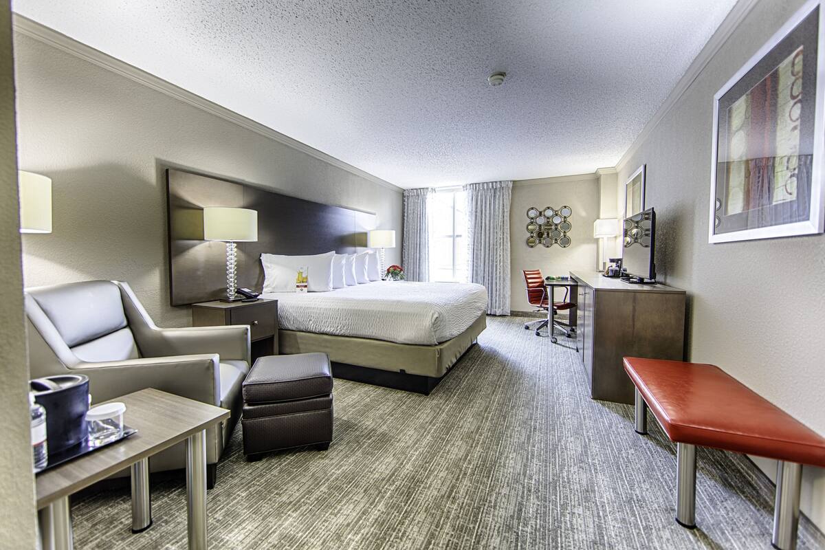 A hotel room with a bed, a desk, a chair, a bench, and a TV.