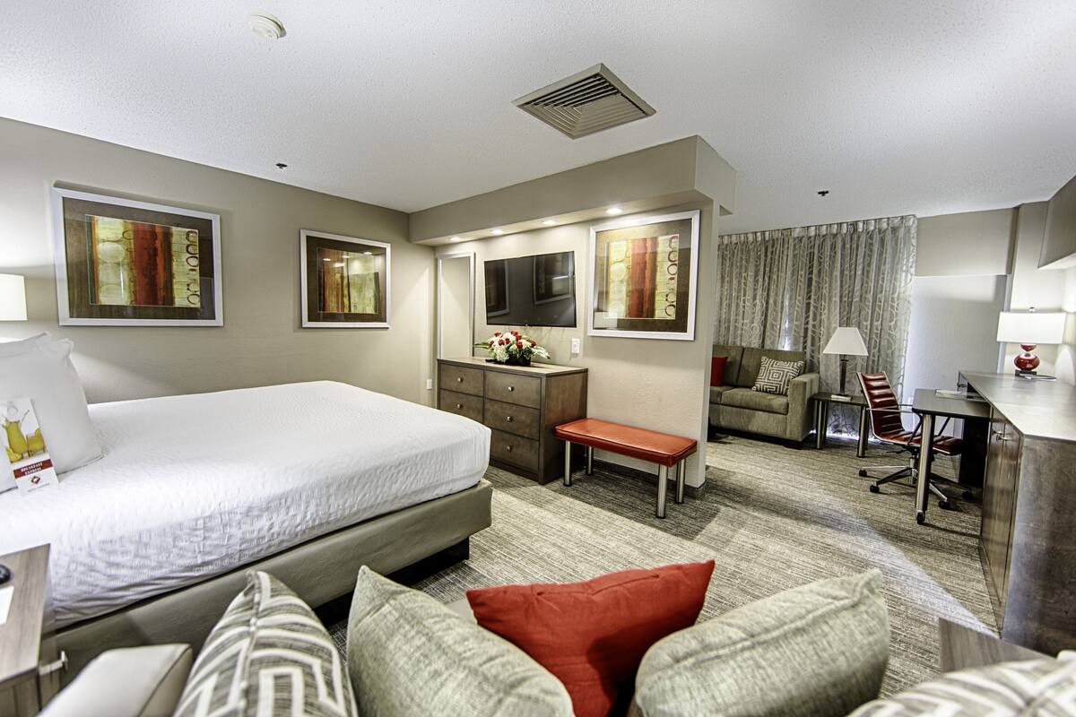 A hotel room with a bed, a desk, a chair, a sofa, and a small table.