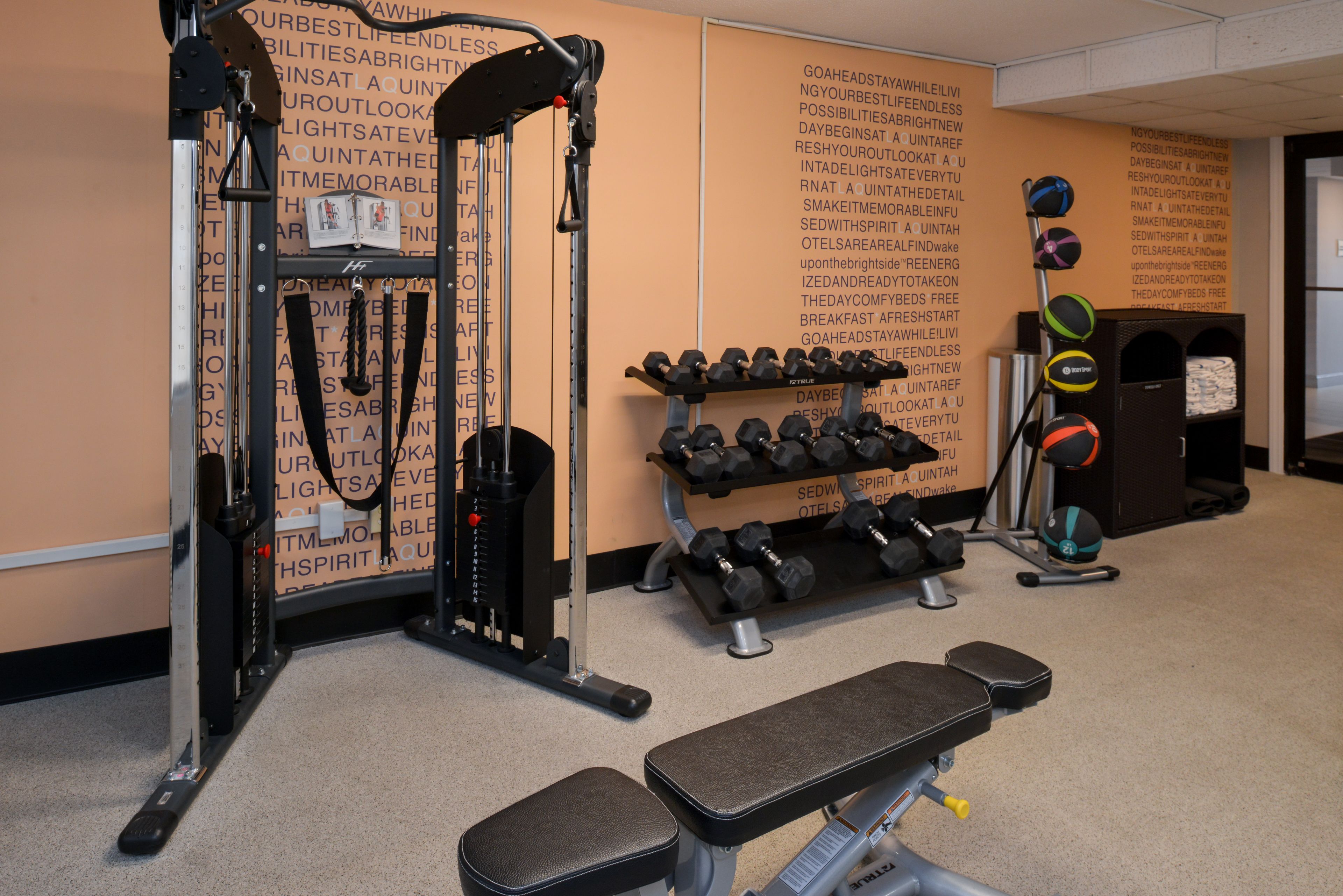 A gym with weightlifting equipment, dumbbells, and a bench.