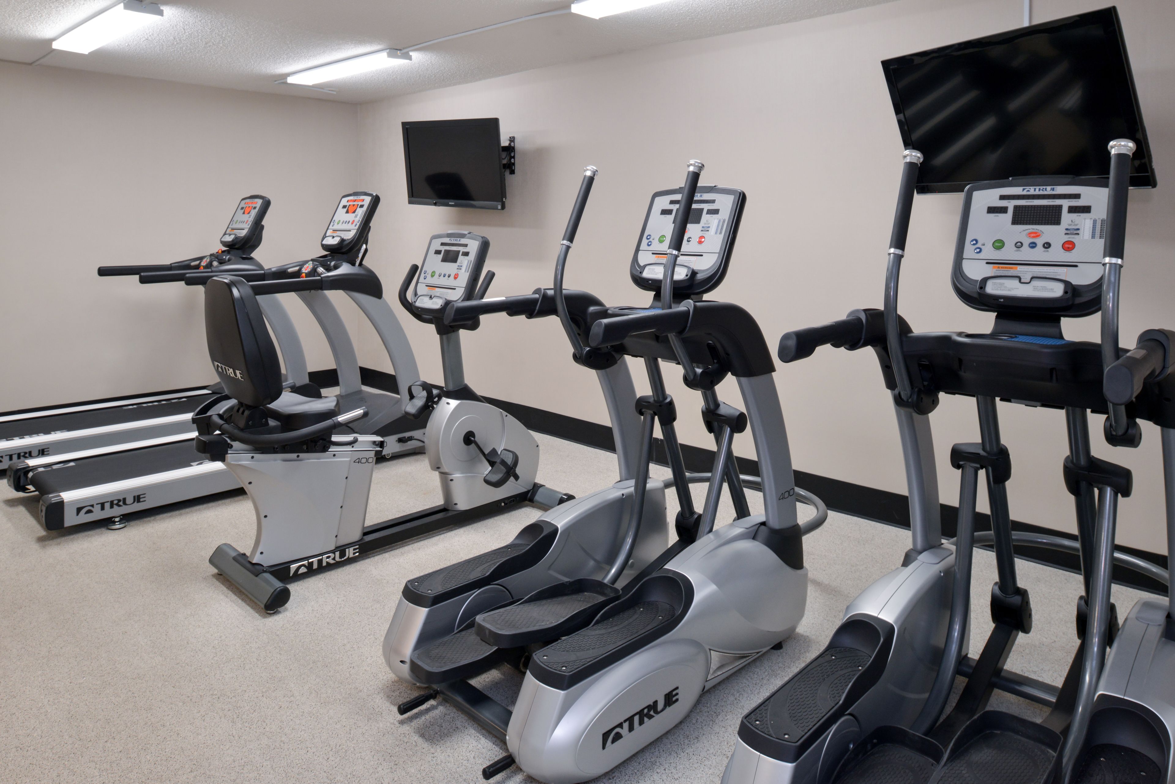A gym with multiple treadmills and elliptical machines.