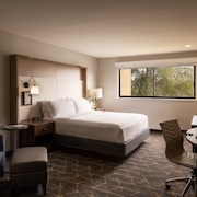 Holiday Inn Santa Ana-Orange Co. Arpt by IHG