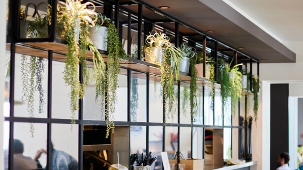 Un interior moderno con una barra larga, plantas colgantes y una persona sentada en una mesa.