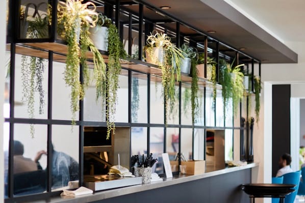 A modern interior with a long counter, hanging plants, and a person sitting at a table. - Novotel Evry Courcouronnes (Évry-Courcouronnes)