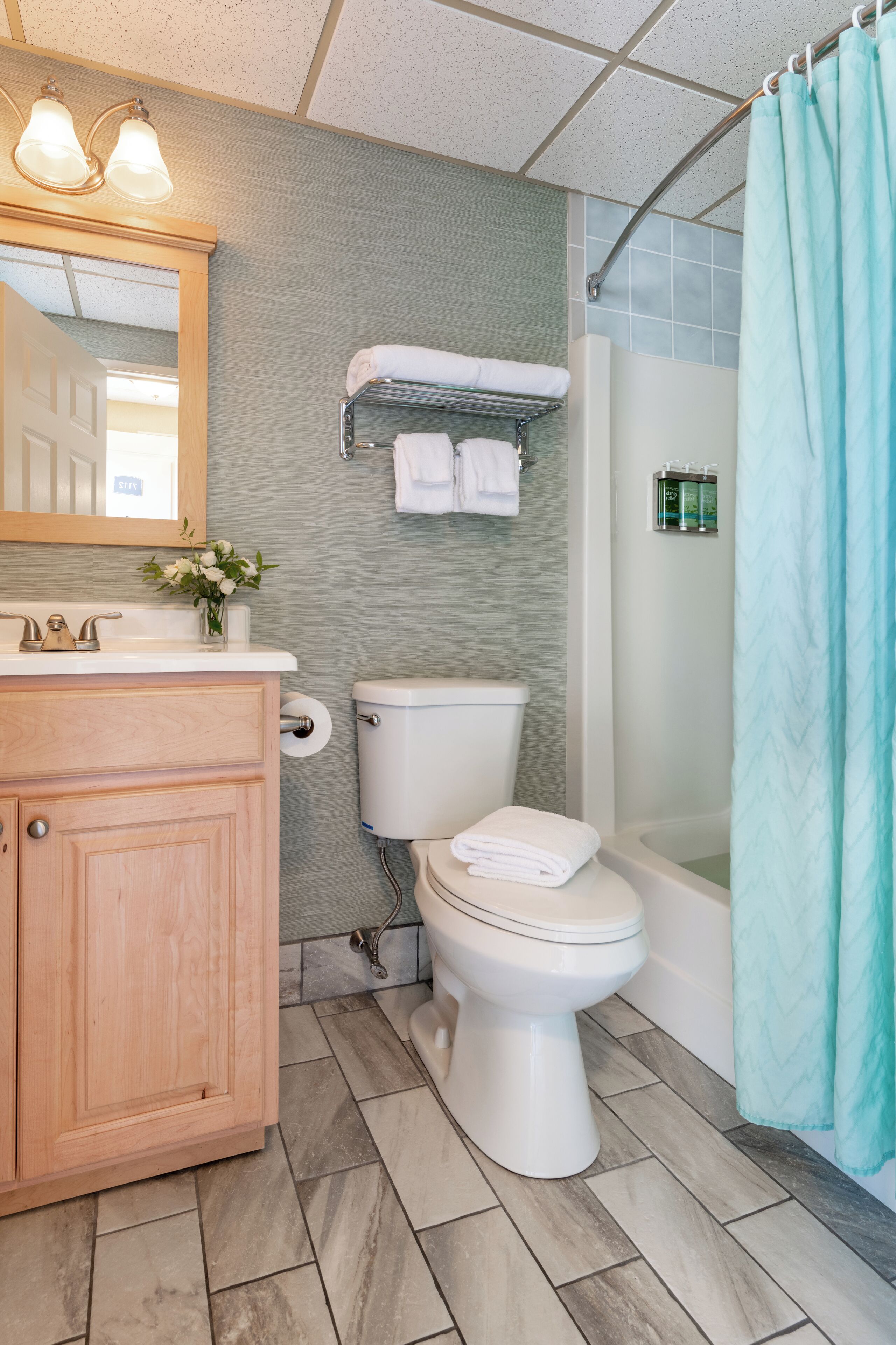 A bathroom with a toilet, sink, mirror, and shower curtain.