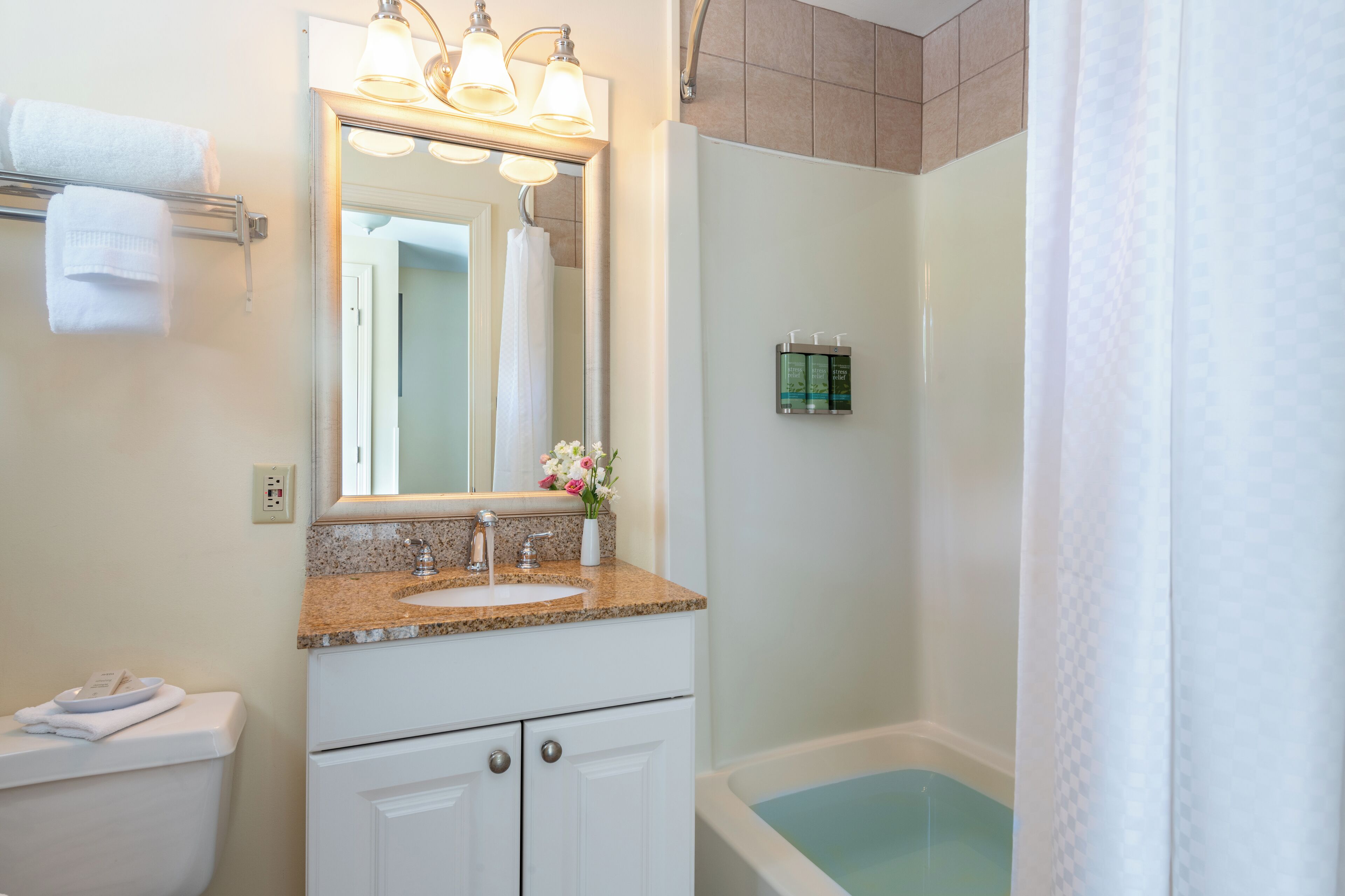 Une salle de bain avec un lavabo, un miroir et une baignoire.