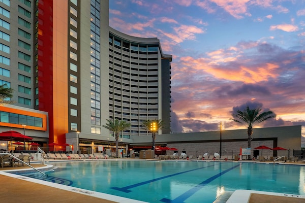 Outdoor pool, sun loungers