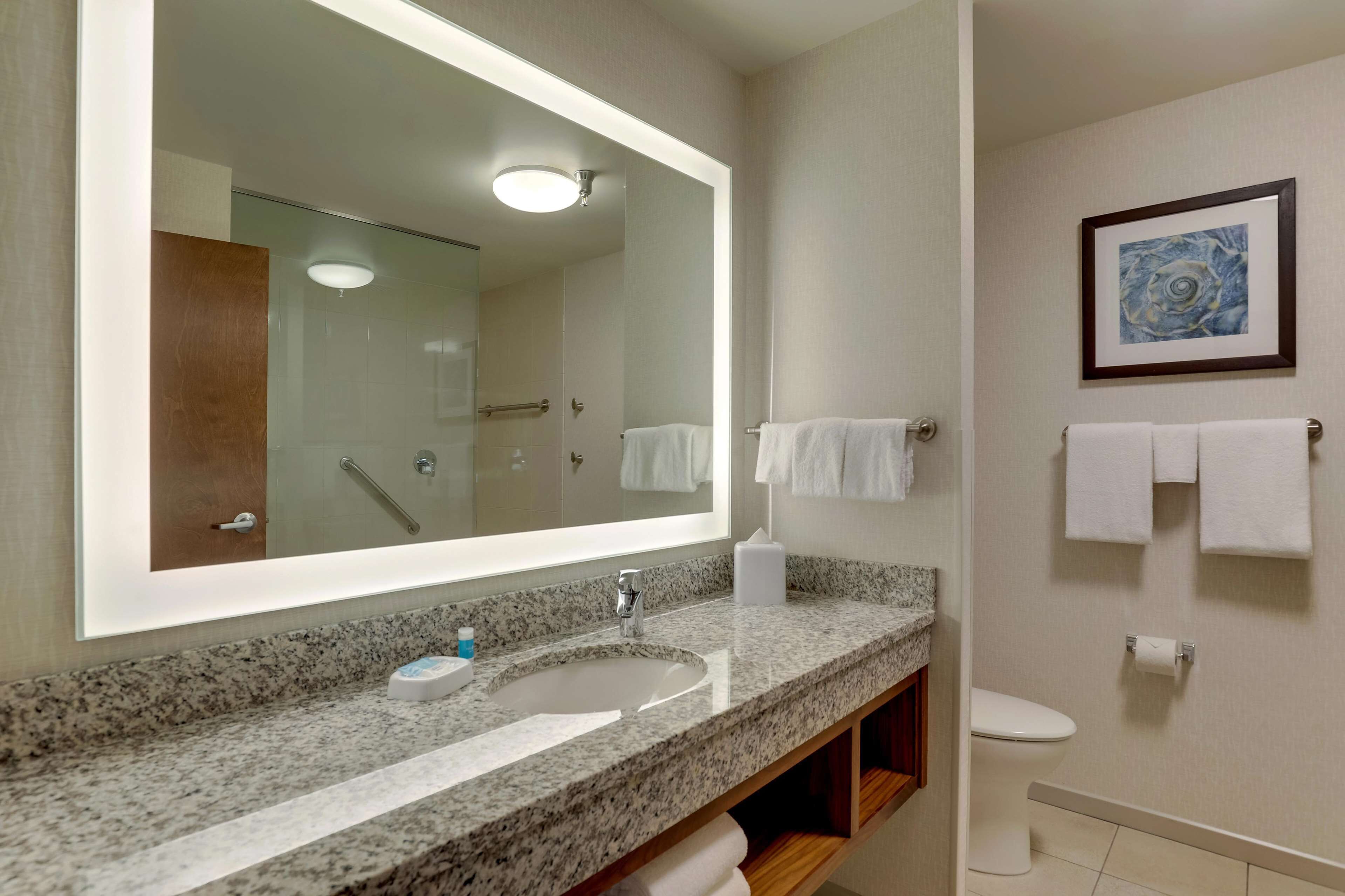 A bathroom with a large mirror, granite countertop, sink, toilet, and a framed artwork on the wall.