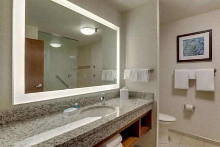 Drury Plaza Hotel Orlando Disney Springs Area - Image 48