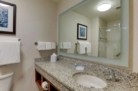 Drury Plaza Hotel Orlando Disney Springs Area - Image 85
