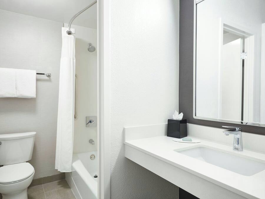 Un baño moderno con inodoro, ducha y lavamanos.