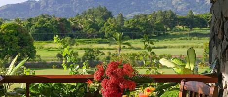 Una mesa con fruta y bebidas, una silla de madera, y vistas a campos verdes y montañas.