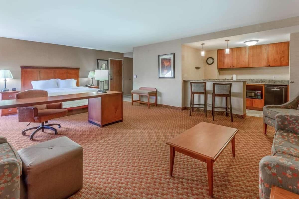 Studio Suite, 1 King Bed, Non Smoking | Desk, laptop workspace, iron/ironing board, WiFi (free)