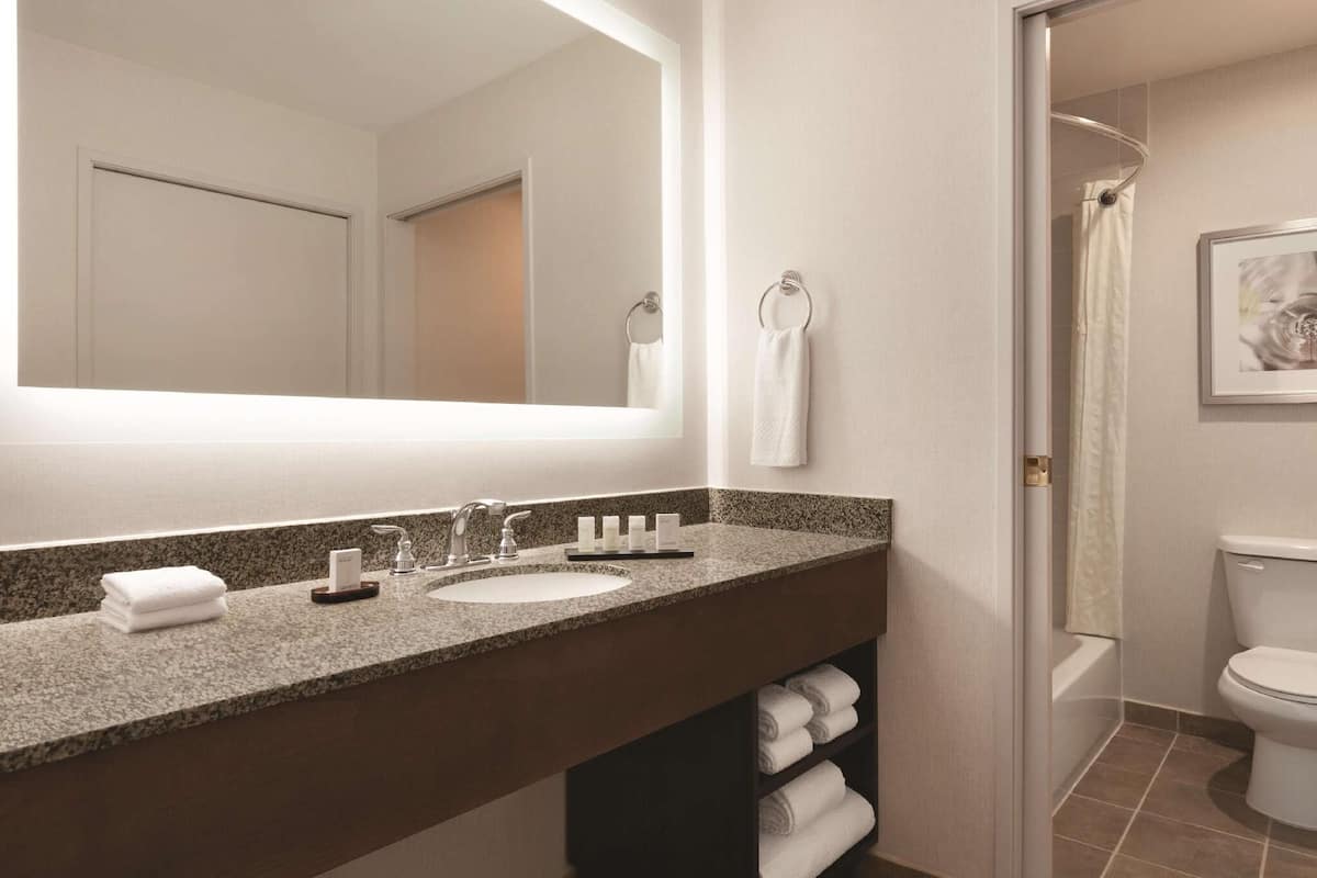 Baño | Tina con regadera, amenidades de baño gratuitas, secadora de cabello