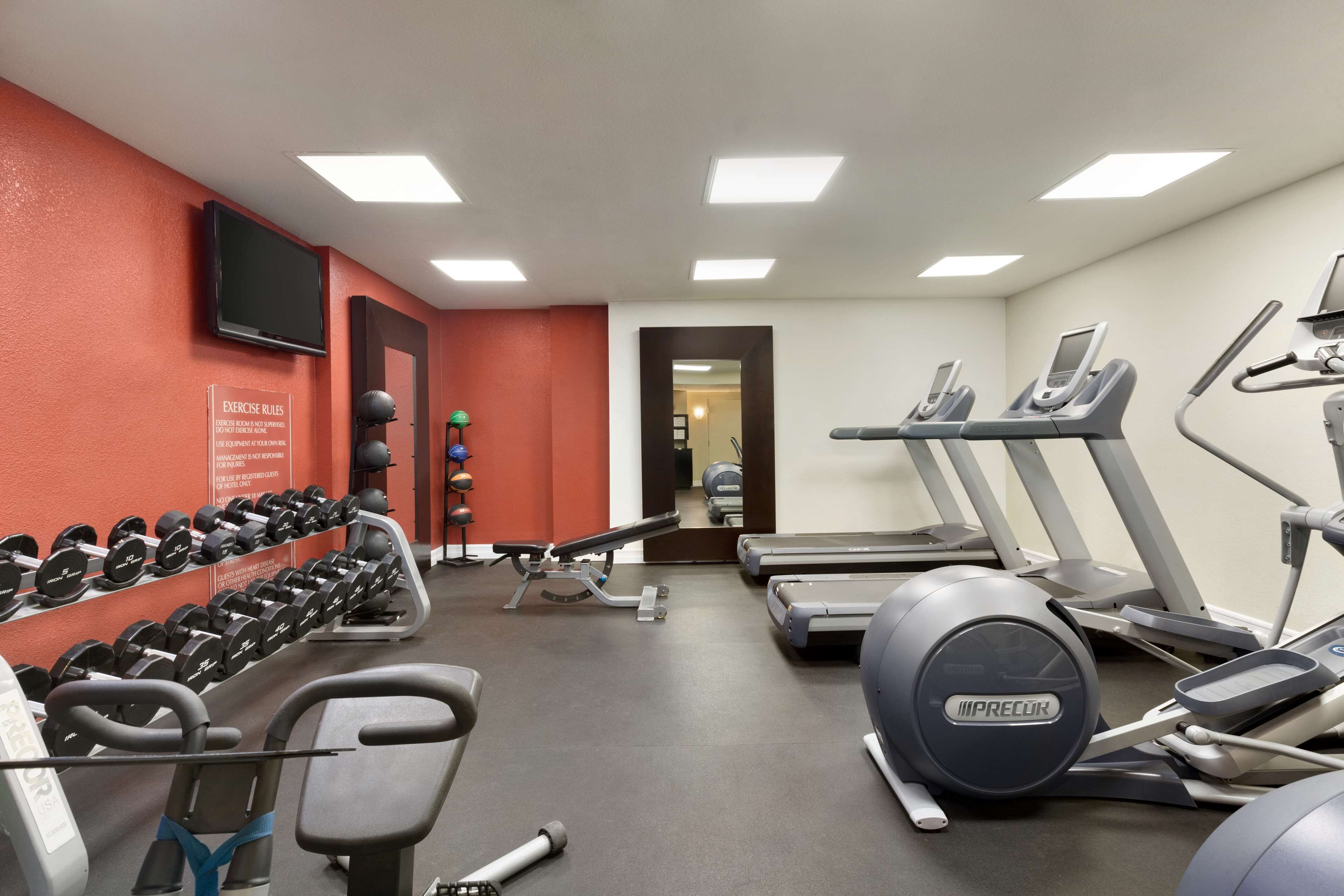 A gym with treadmills, dumbbells, and exercise equipment.
