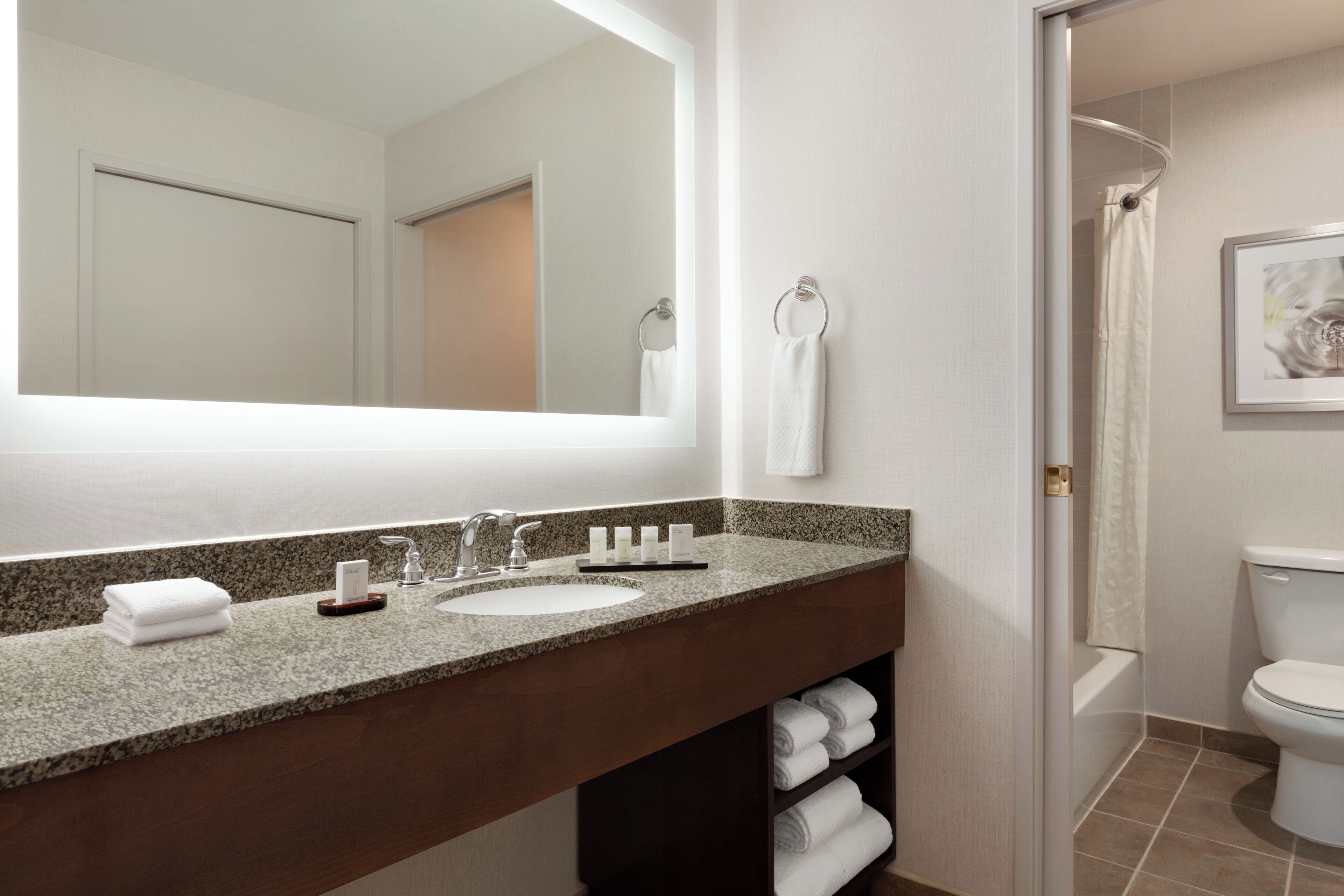 A modern bathroom with a granite countertop sink, a large mirror, and a shower with a glass door.