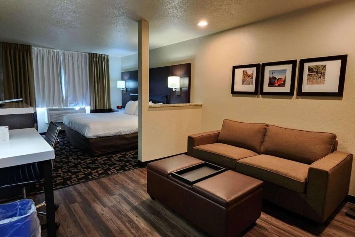 A hotel room with a bed, a sofa, a desk, and a trash bin.