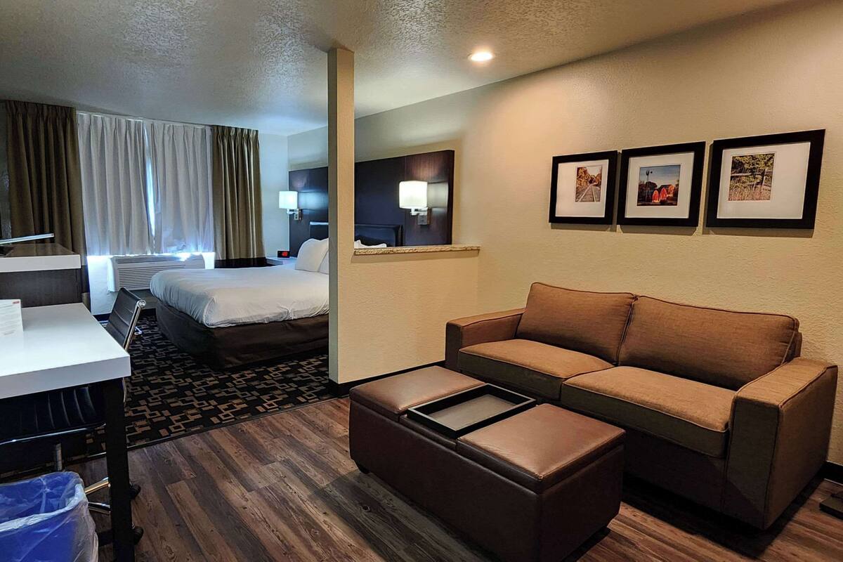 A hotel room with a bed, a sofa, a desk, and a trash bin.