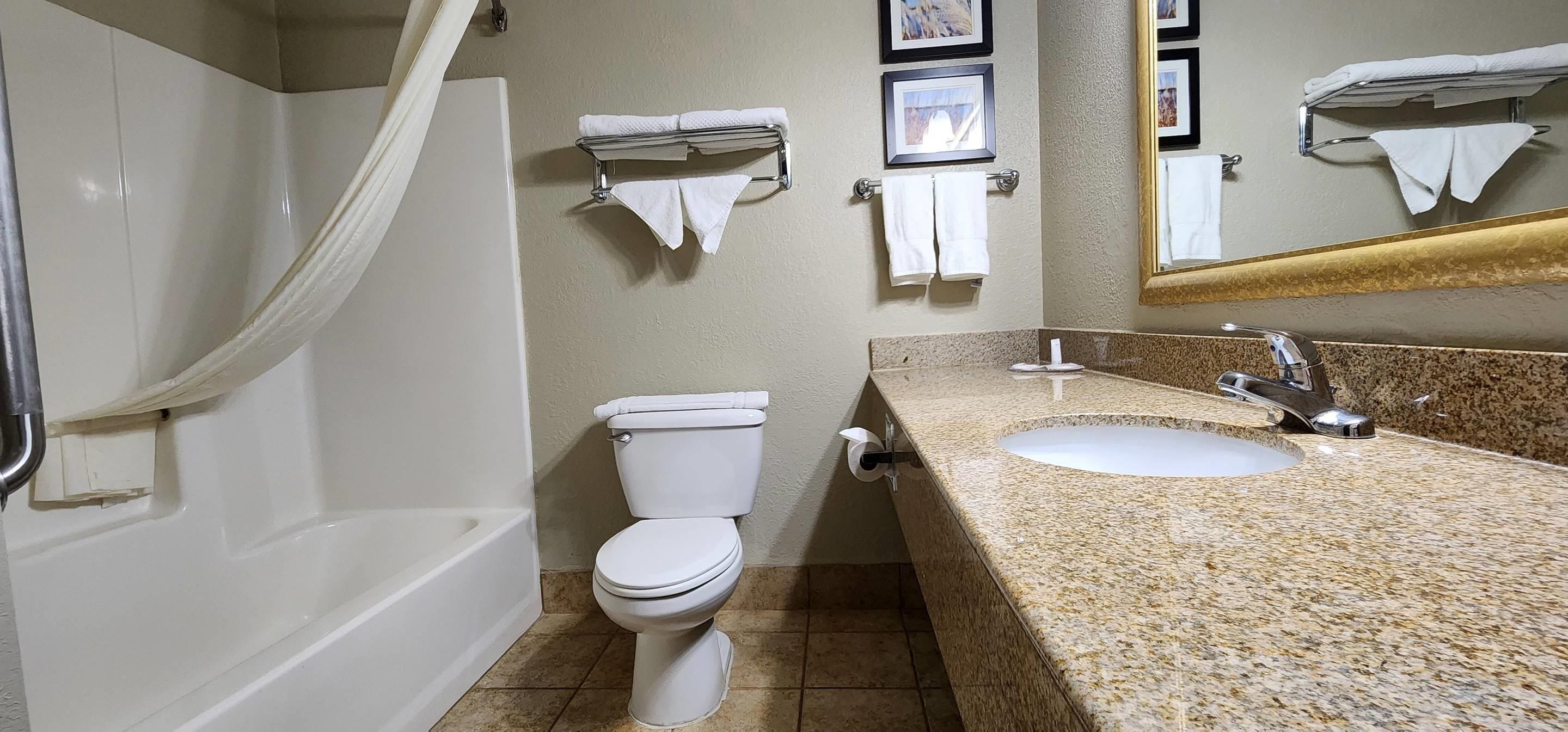 Une salle de bain avec des toilettes, un lavabo et une baignoire.