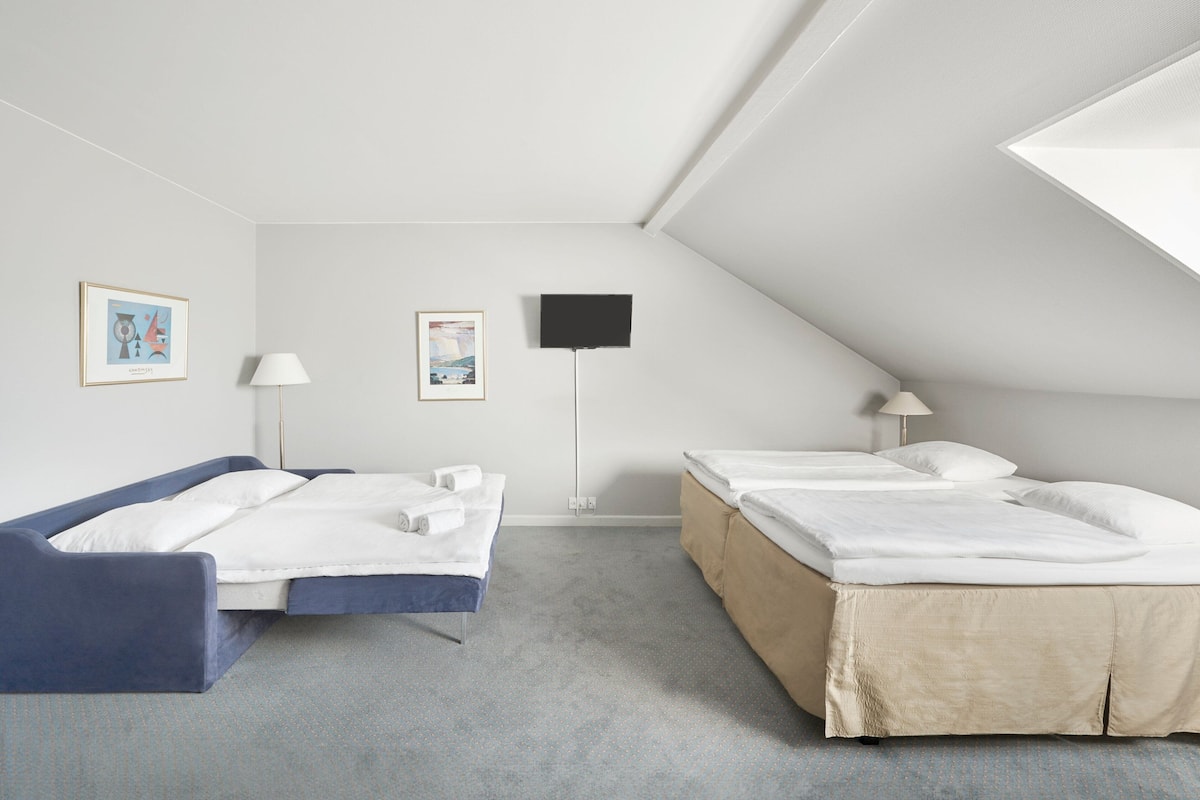 1 bedroom, desk, iron/ironing board, free WiFi