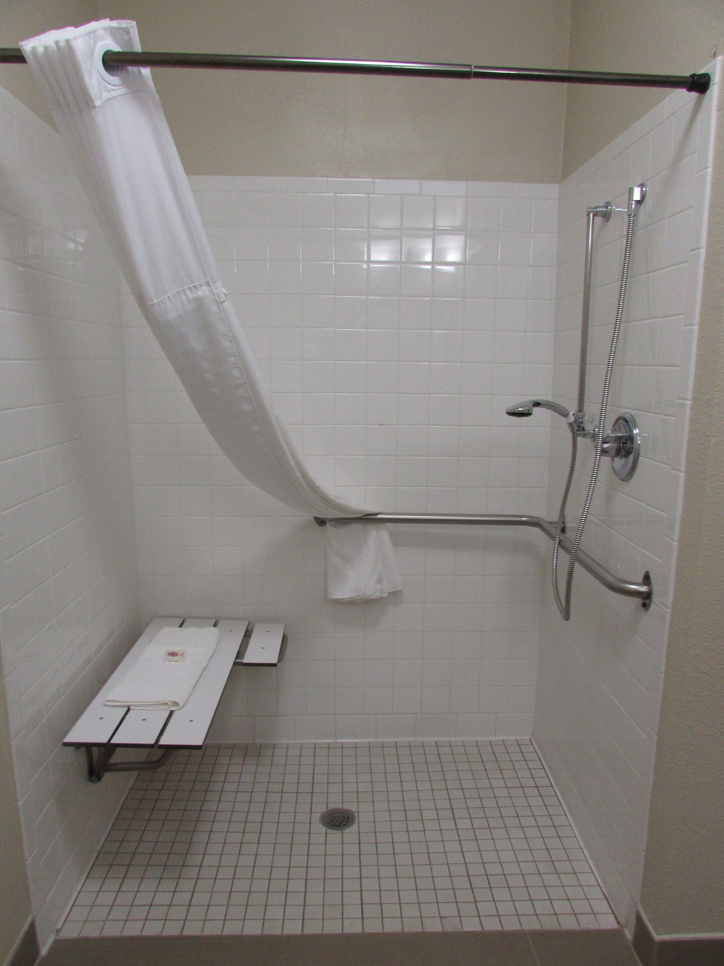 room, 1 king bed, accessible, non smoking | bathroom shower
