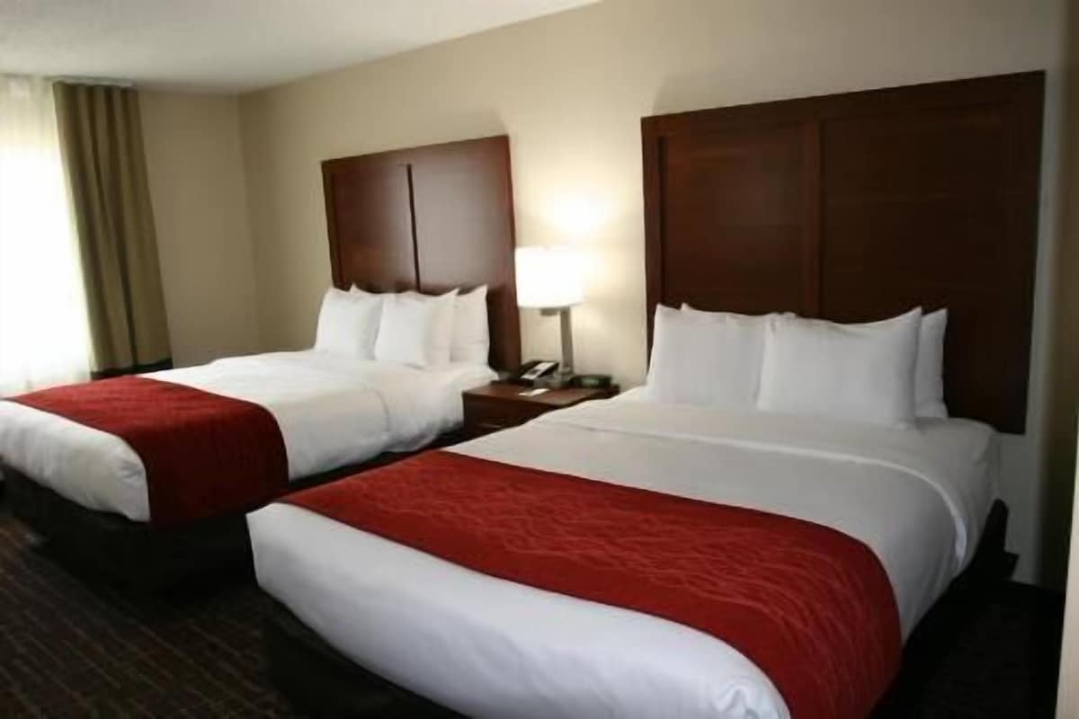 Two double beds with wooden headboards, a bedside table with a lamp, and a window with curtains.