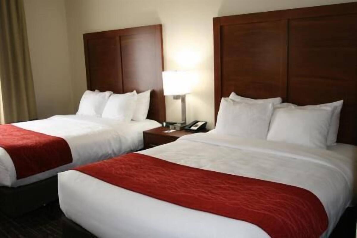 Premium bedding, desk, laptop workspace, blackout curtains