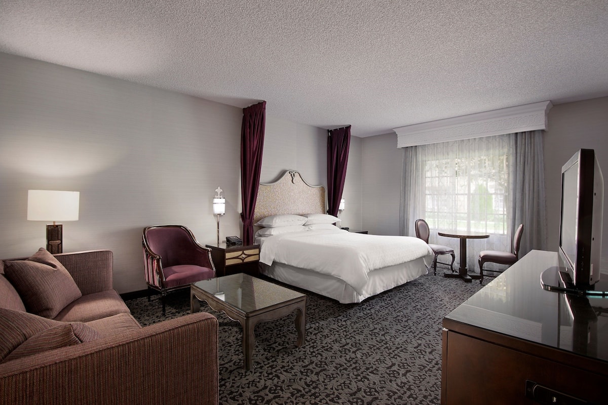 A hotel room with a bed, a sofa, a desk, a chair, a lamp, and a TV.