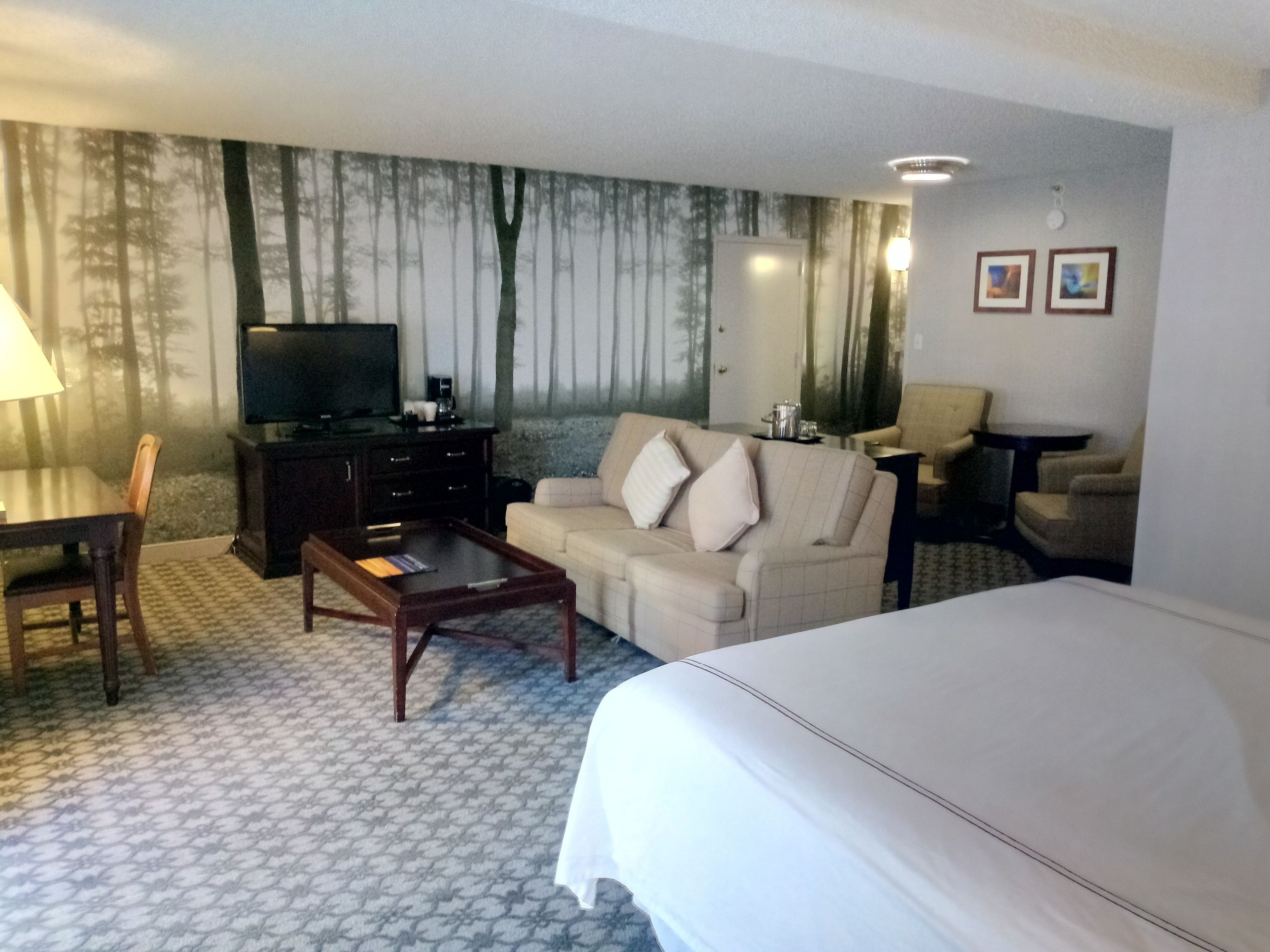 Habitación de hotel con una cama grande, un sofá, un televisor, una mesa de centro y un escritorio.