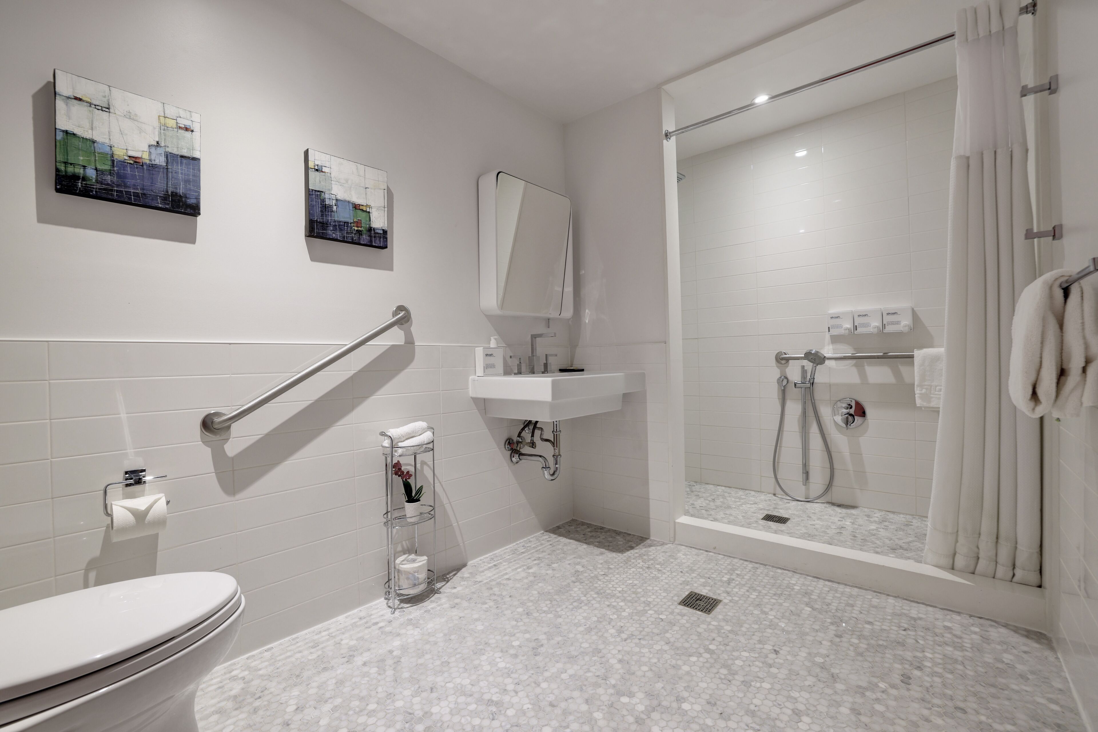 room, 1 king bed, accessible (shower) | accessible bathroom