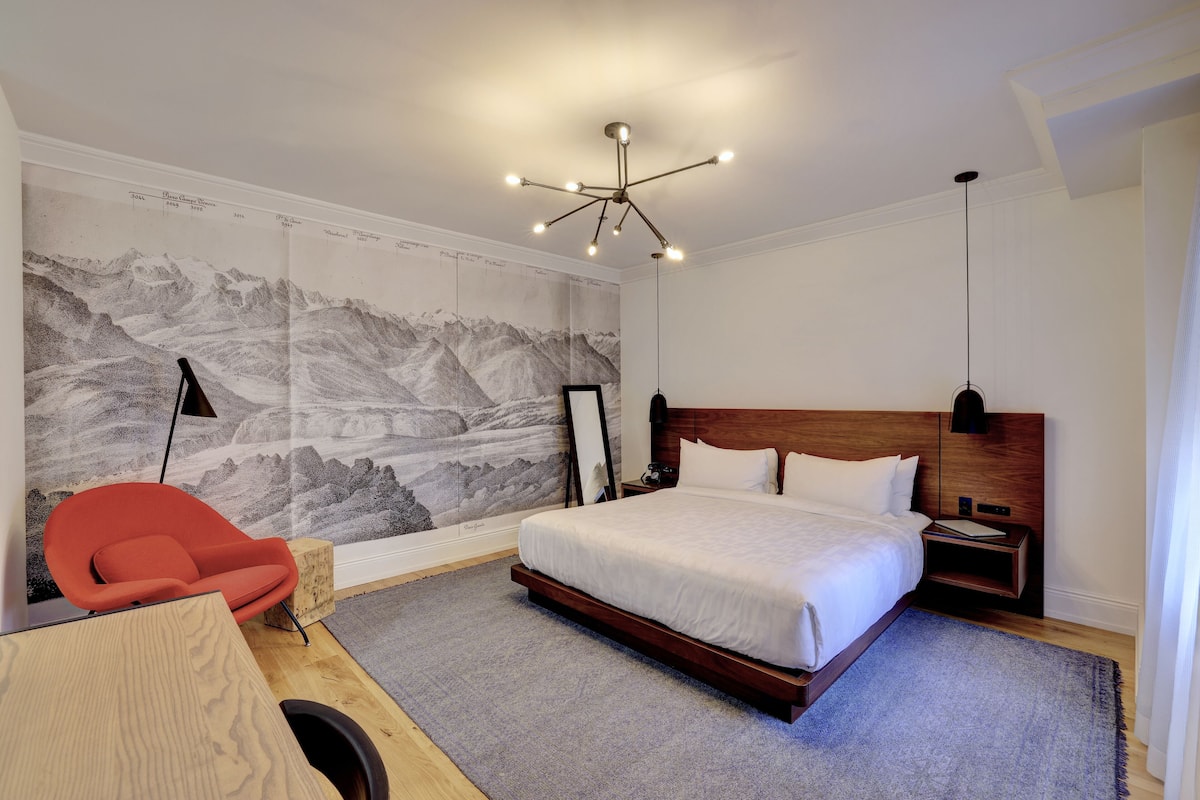 Room, 1 King Bed, Accessible (Shower)