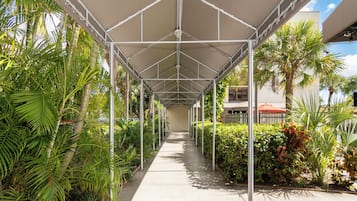 A covered walkway with metal railings, surrounded by lush greenery and palm trees.