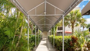 A covered walkway with a metal framework, surrounded by lush greenery and palm trees.