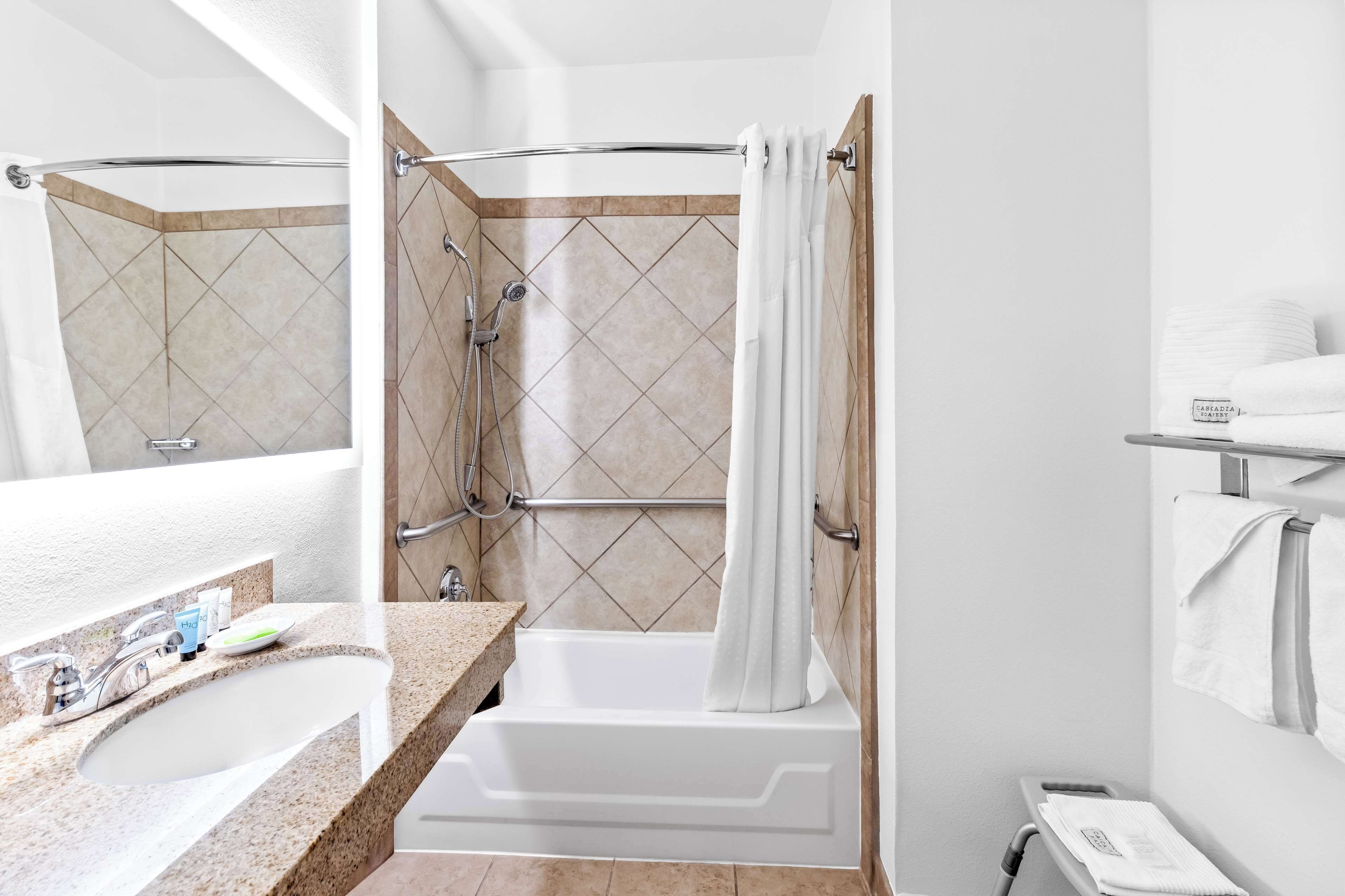 room, 1 queen bed, accessible | accessible bathroom