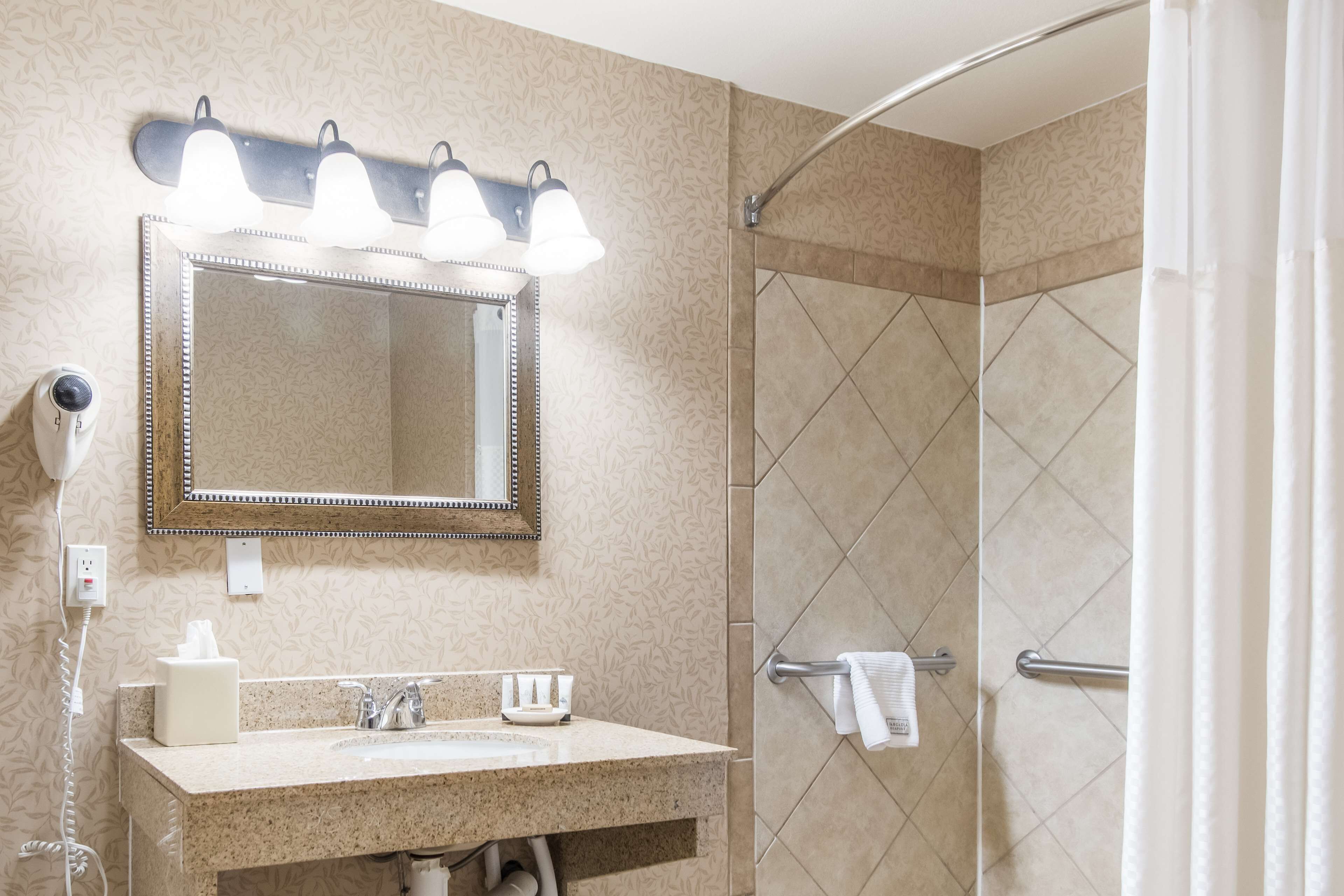 room, 1 queen bed, accessible (roll in shower) | bathroom | combined shower/bathtub, eco-friendly toiletries, hair dryer, towels