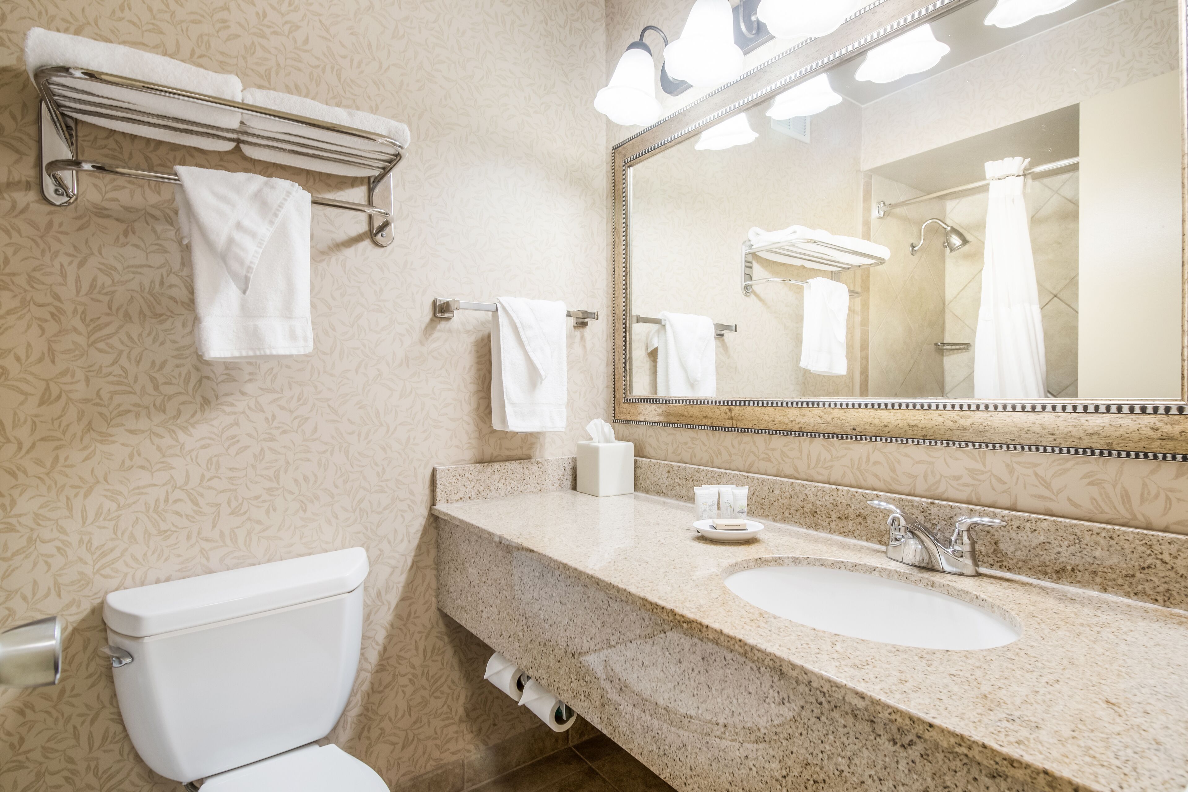 combined shower/bathtub, eco-friendly toiletries, hair dryer, towels