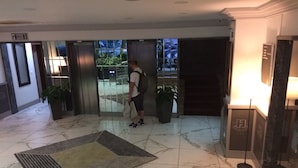 A hotel lobby with a marble floor, a large potted plant, and an elevator.